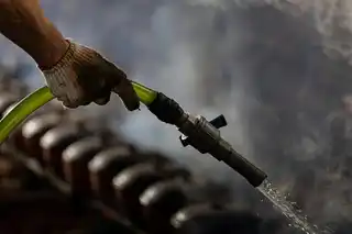 Main course (meat/fish)